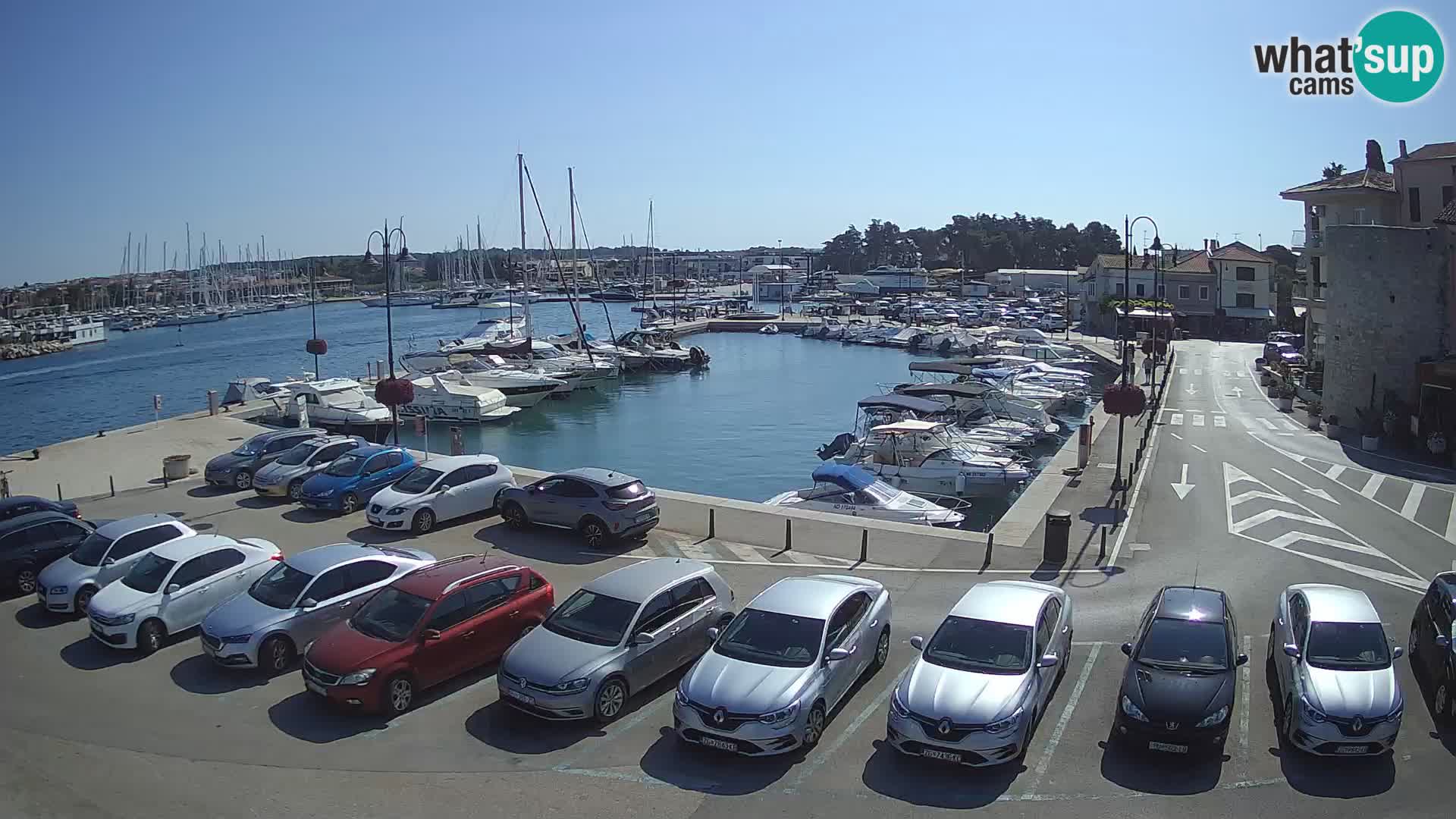 Novigrad | Porporela marina