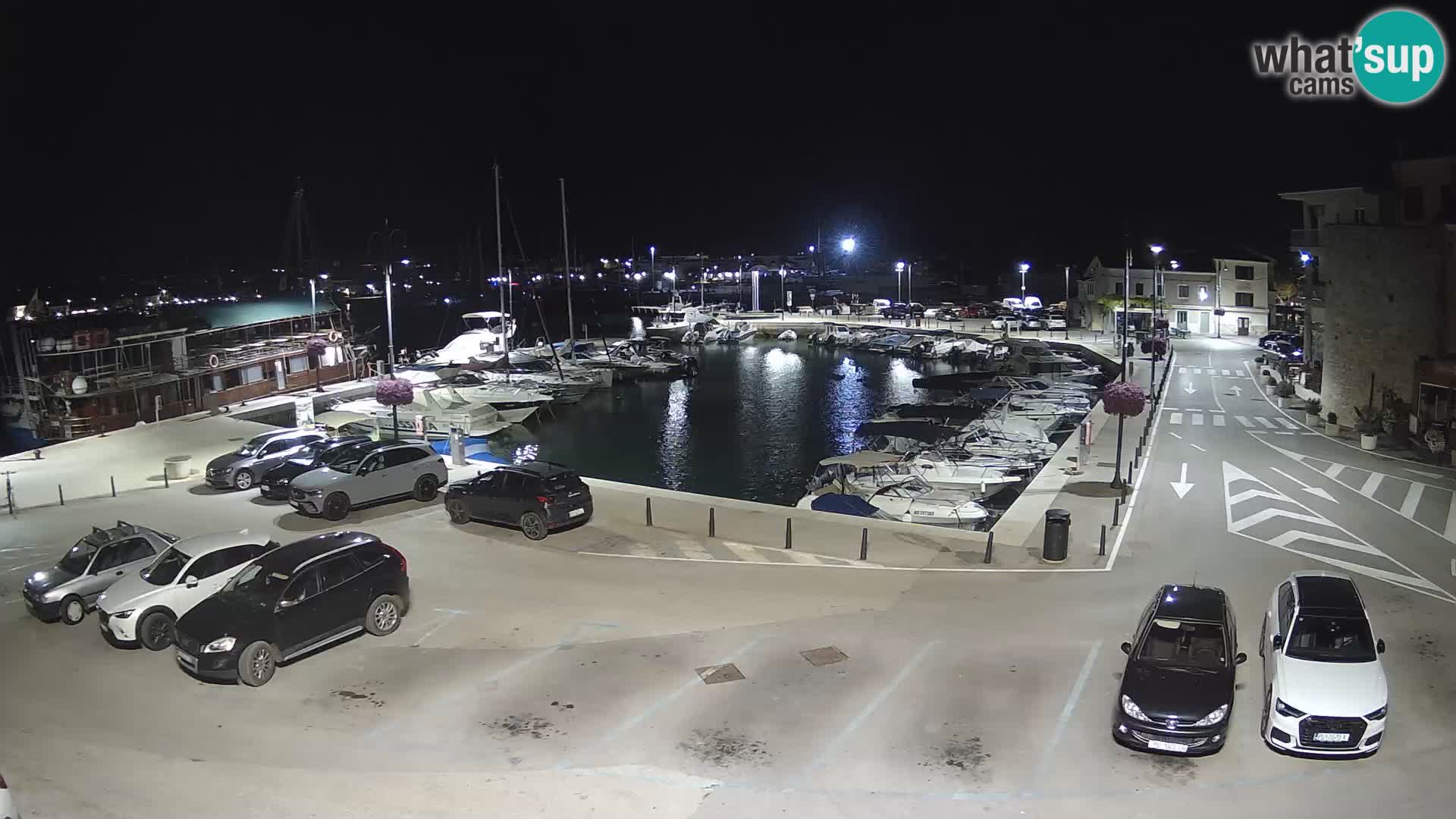 Novigrad | Porporela marina