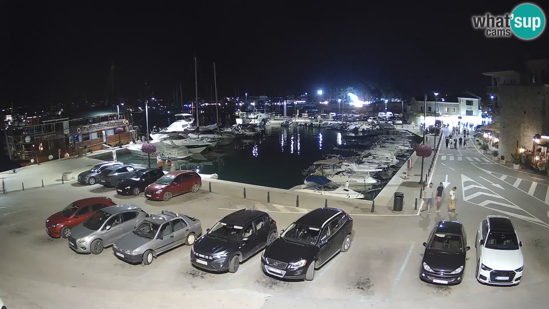 Novigrad | Porporela marina
