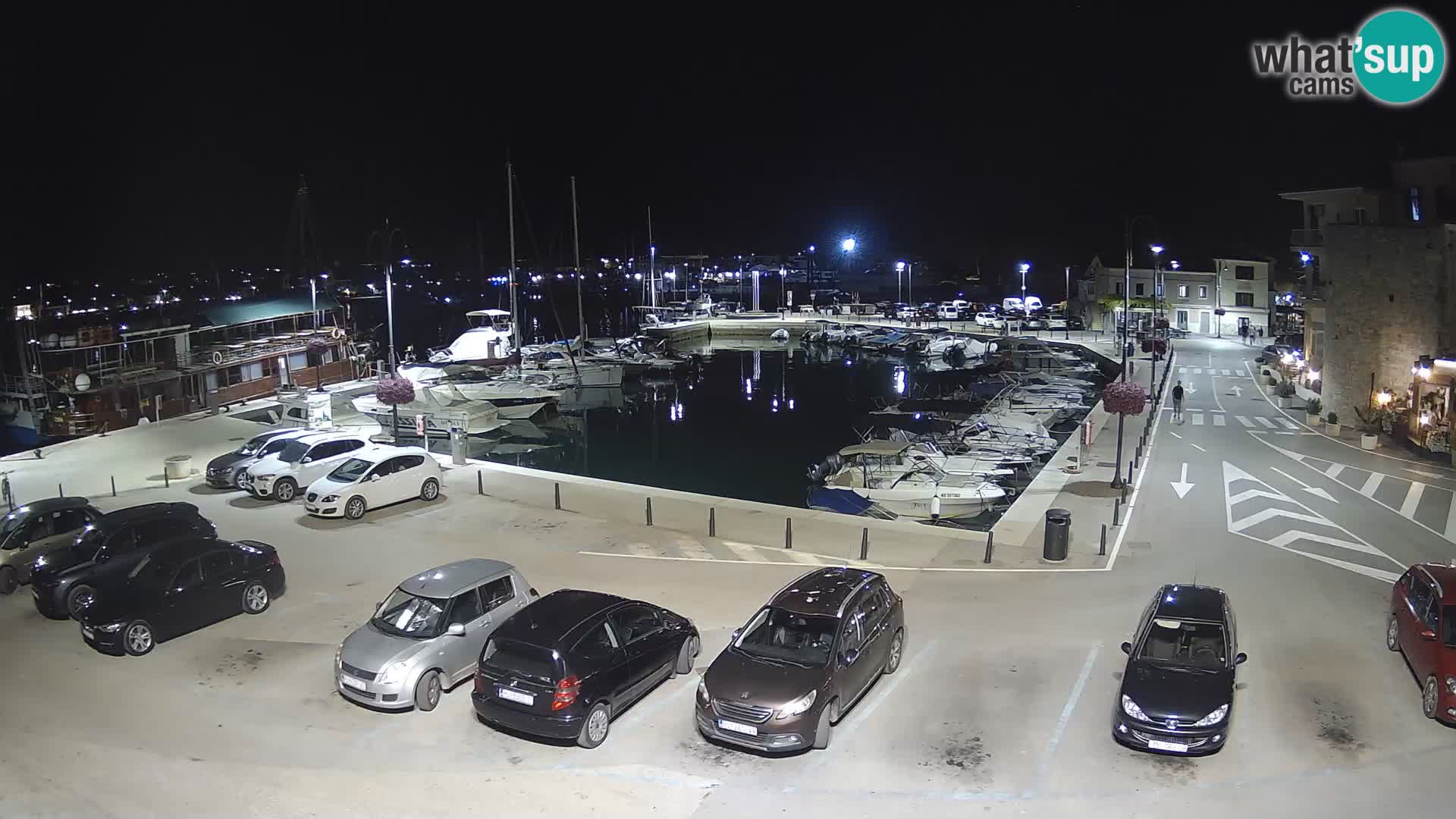Novigrad | Porporela marina