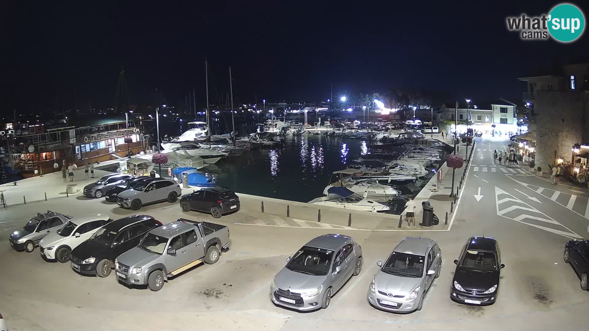 Novigrad | Porporela marina