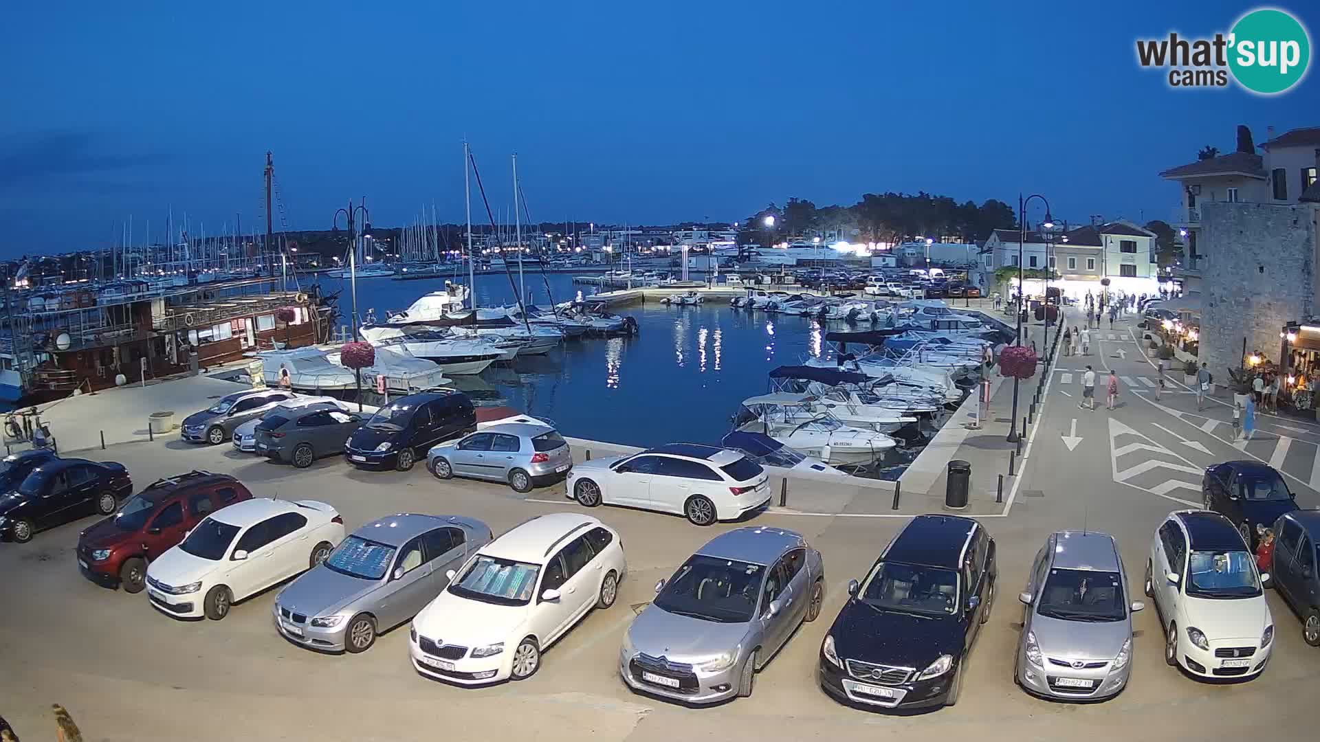 Novigrad | Porporela marina