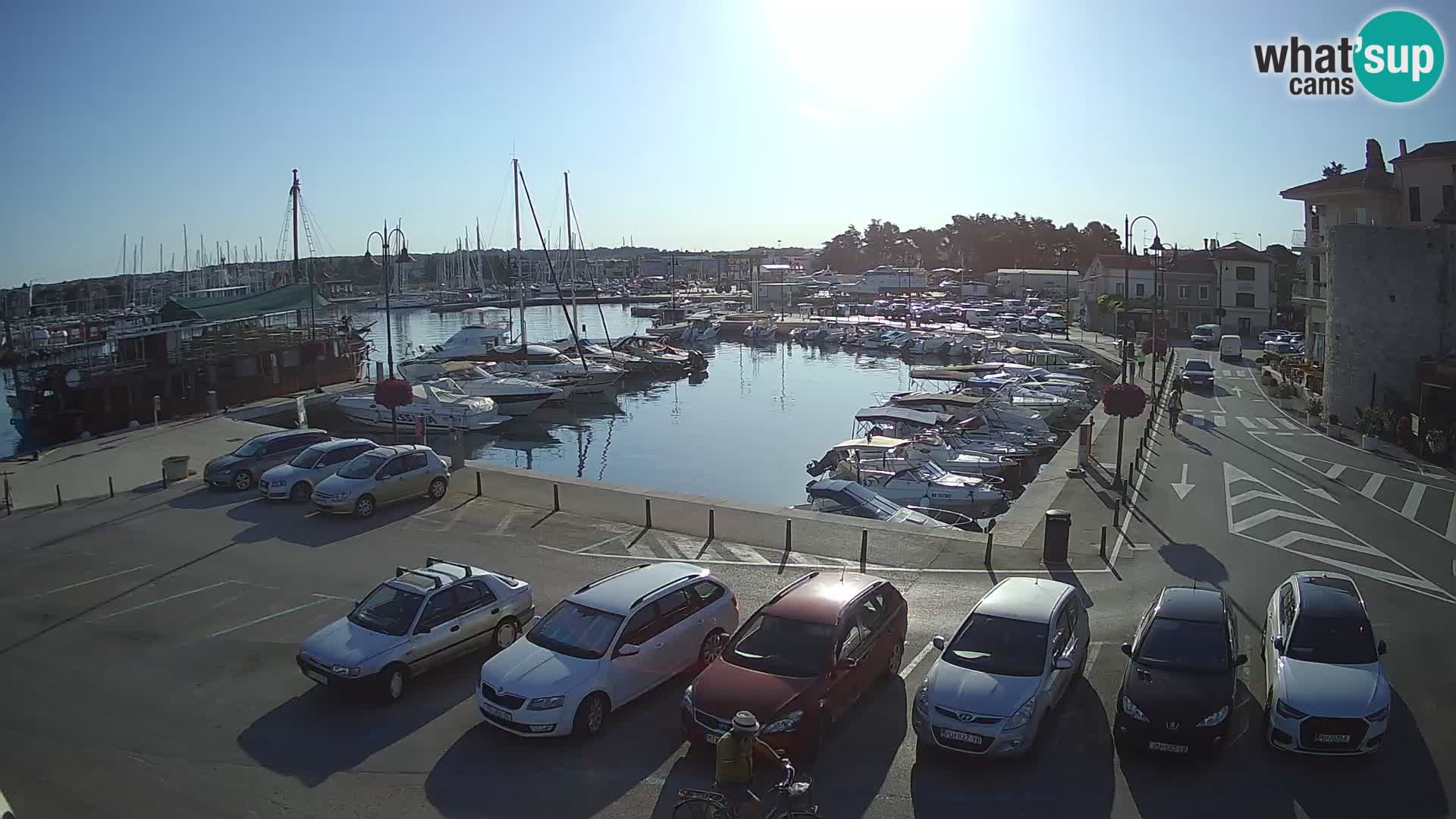 Novigrad | Porporela marina