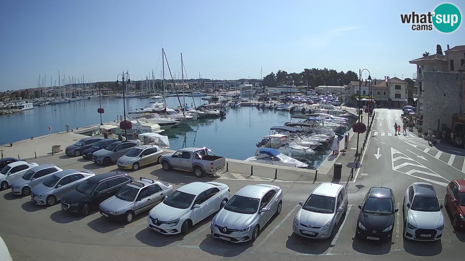 Novigrad | Porporela marina
