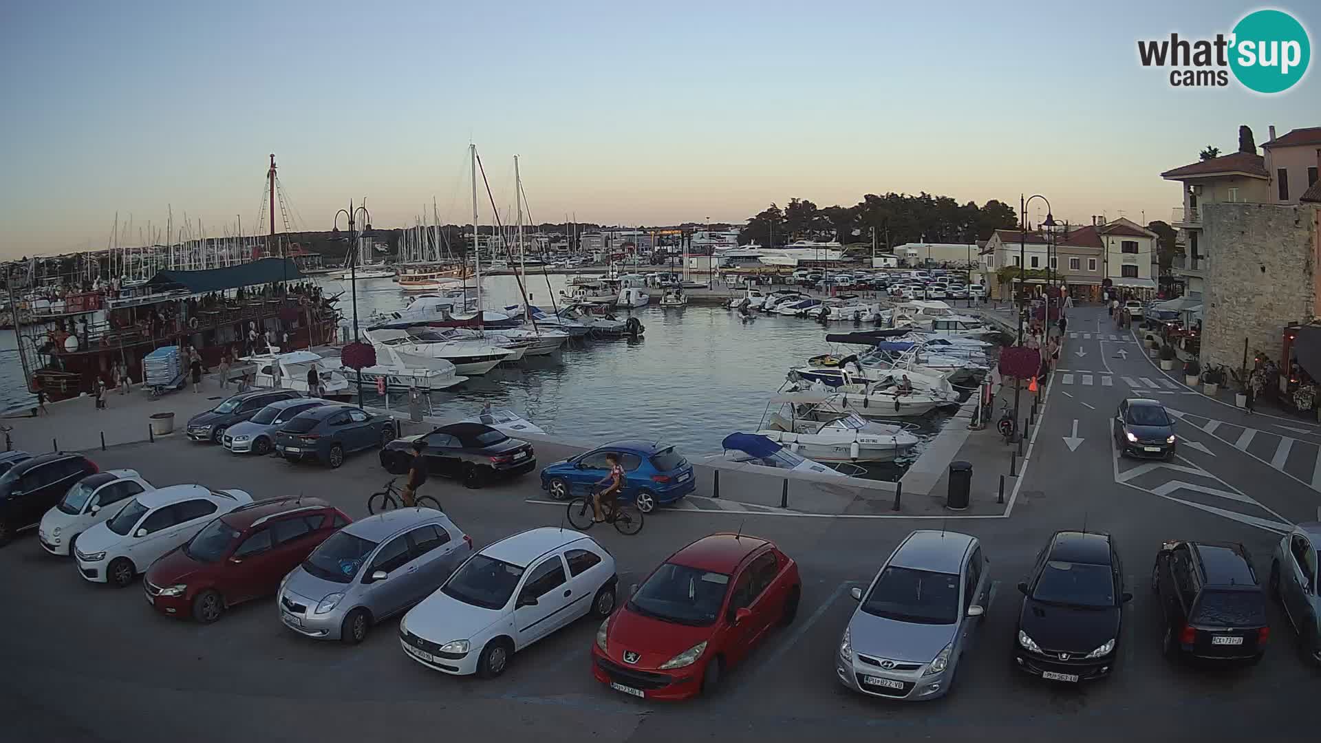 Novigrad | Porporela marina