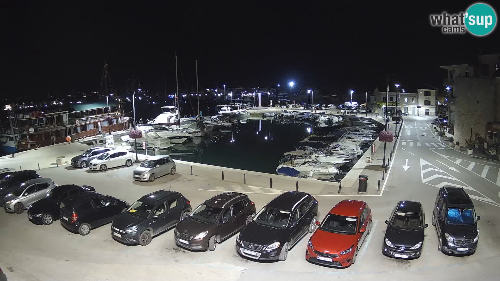Novigrad | Porporela marina