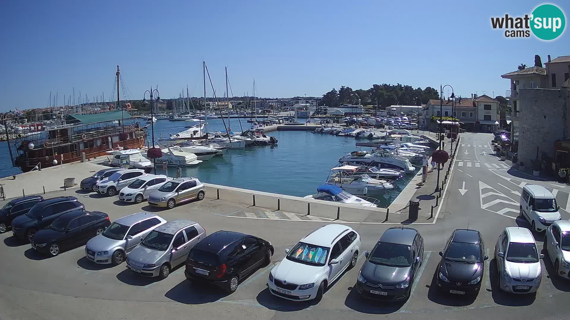 Novigrad | Porporela marina