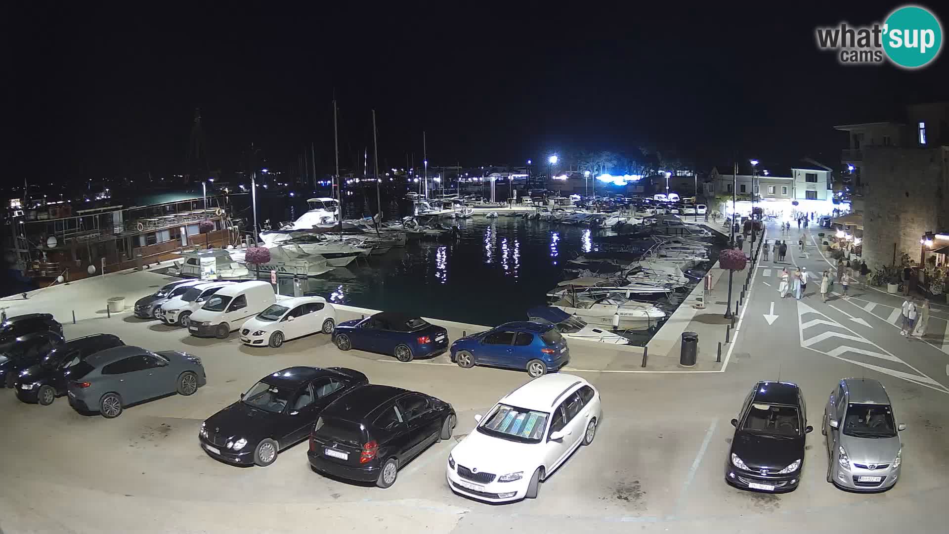 Novigrad | Porporela marina