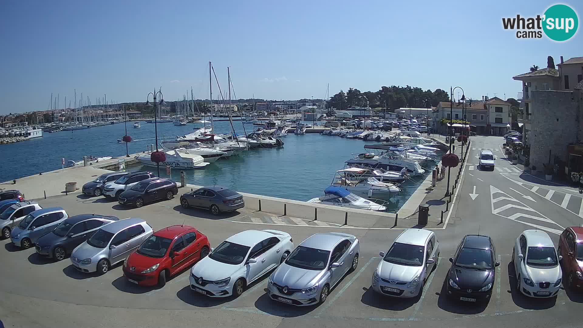 Novigrad | Porporela marina