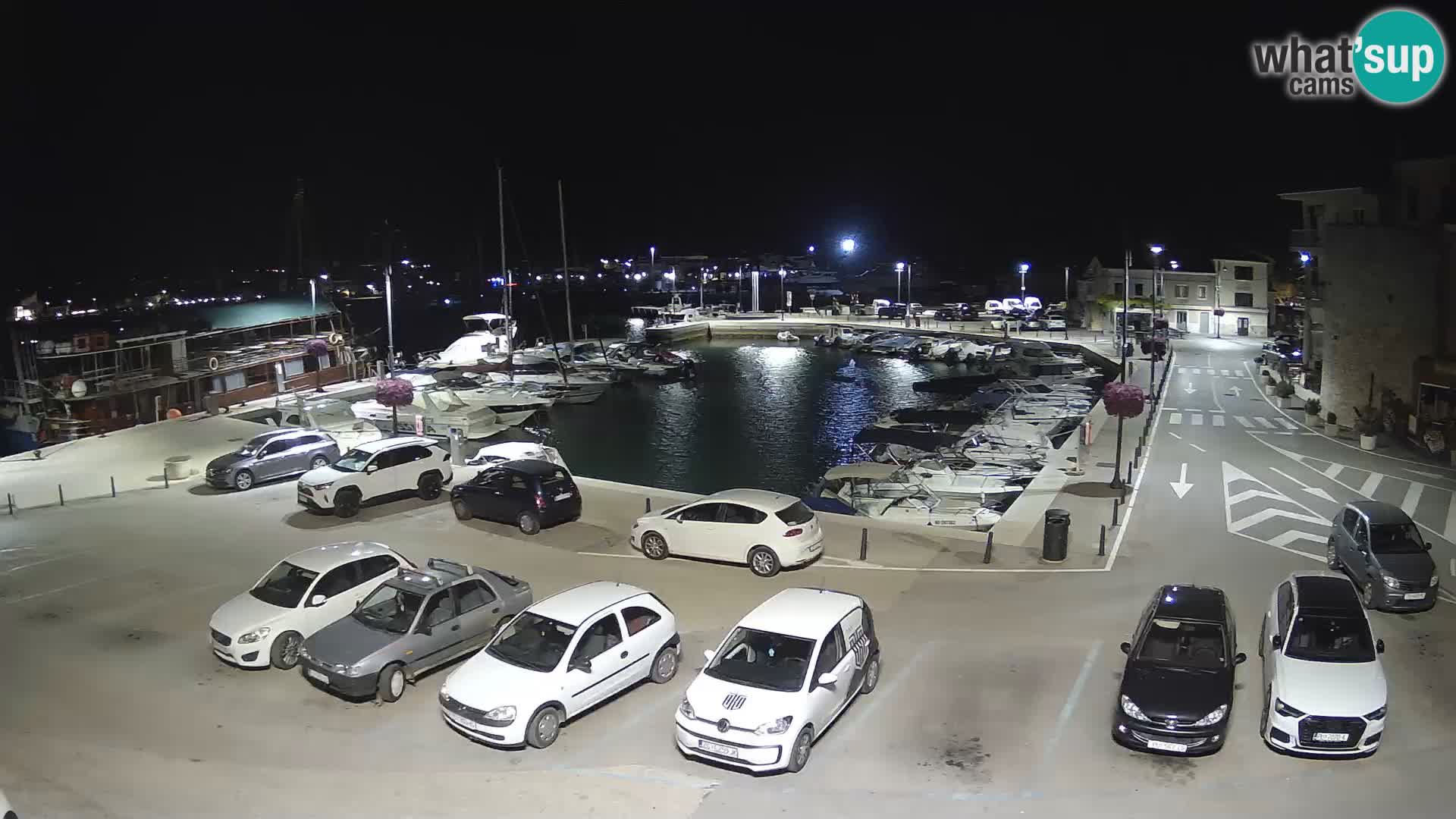 Novigrad | Porporela marina