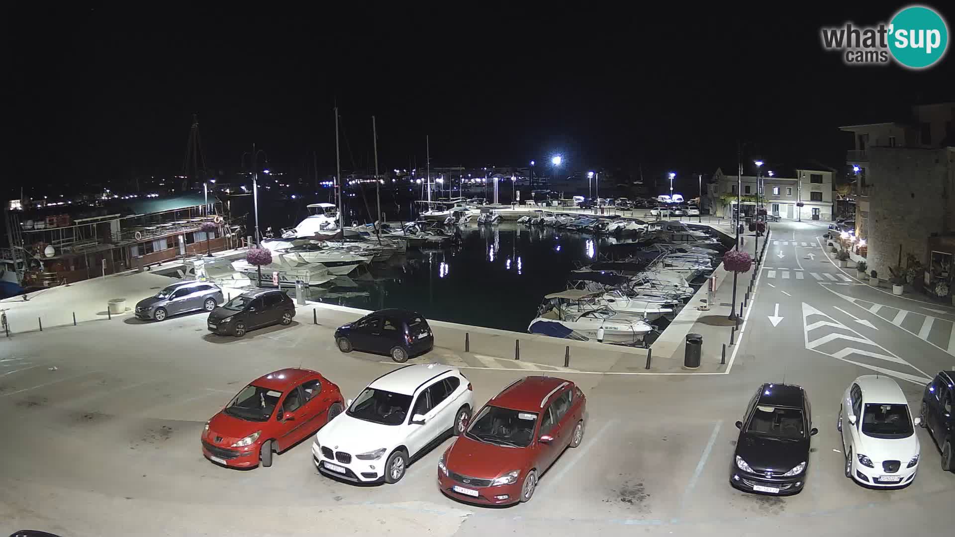 Novigrad | Porporela marina