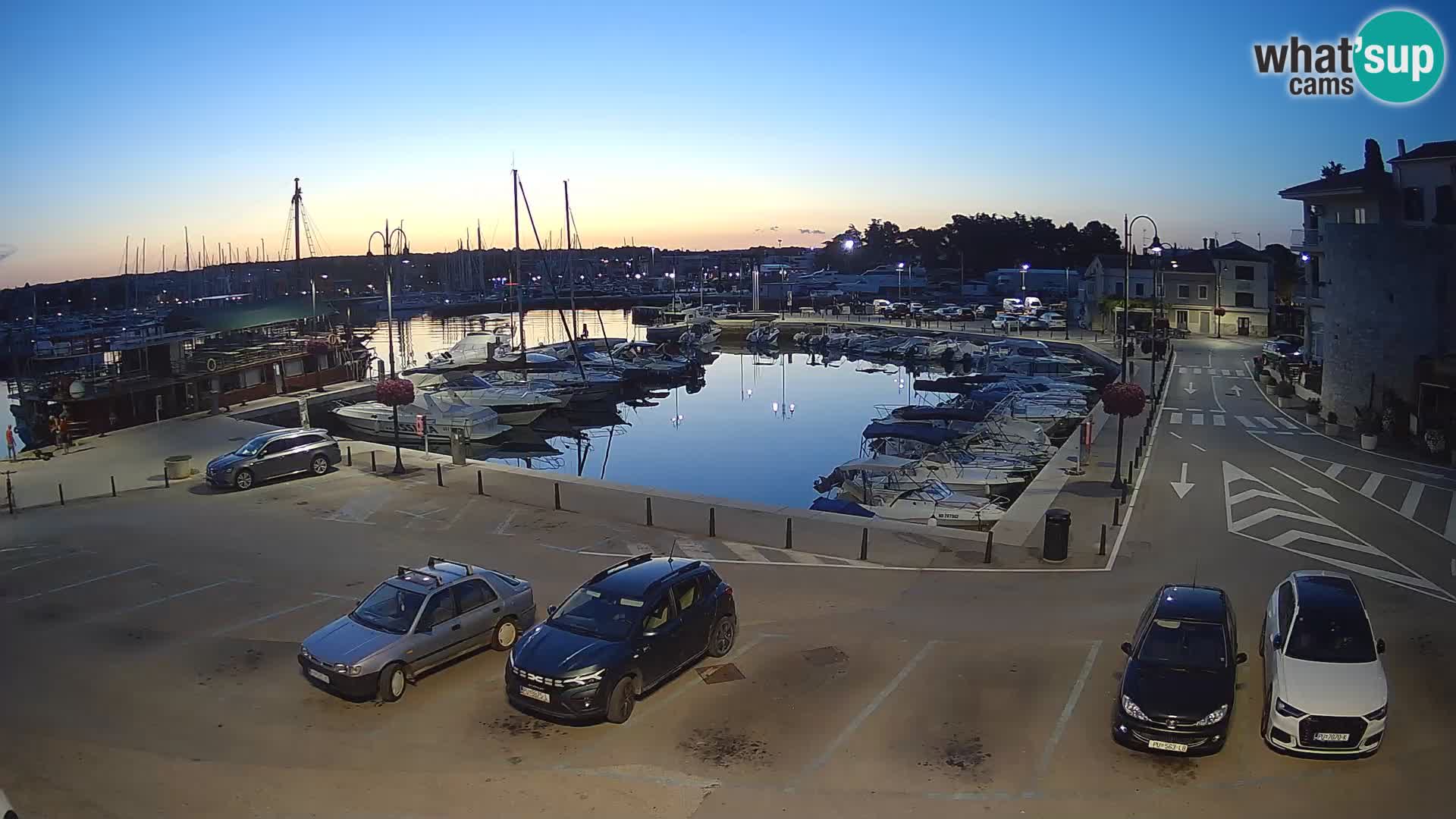 Novigrad | Porporela marina