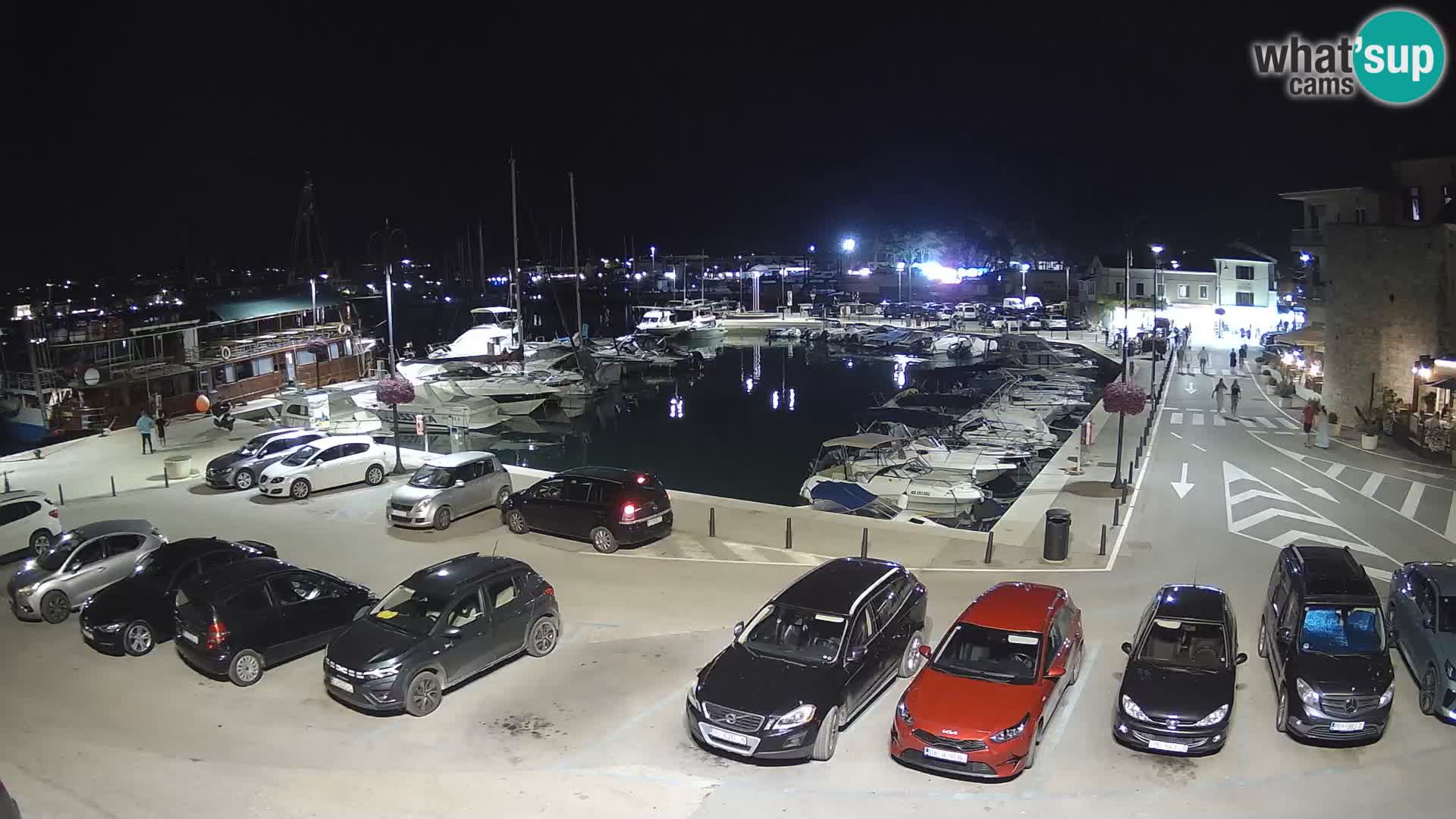 Novigrad | Porporela marina