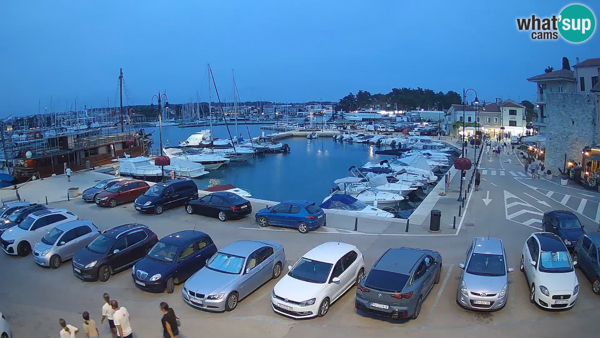 Novigrad | Porporela marina