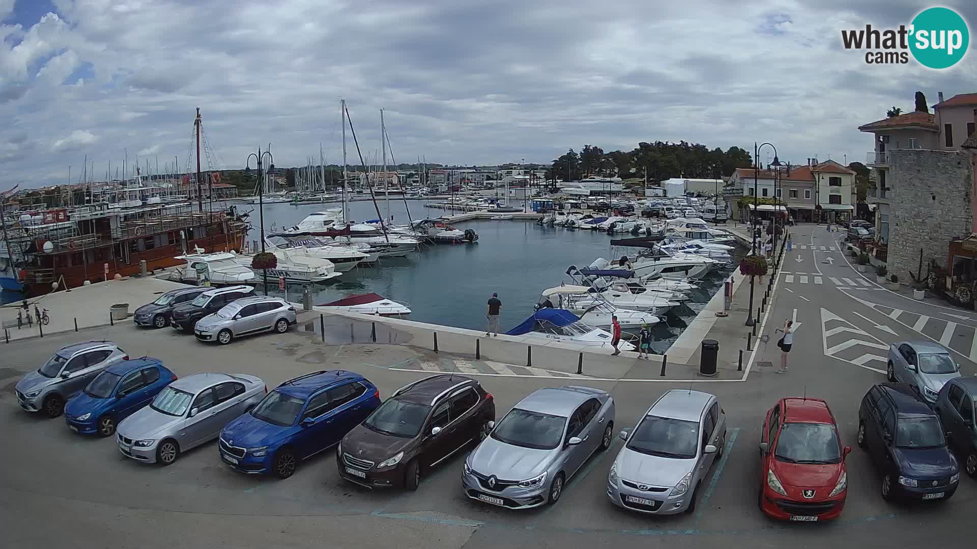 Novigrad | Porporela marina