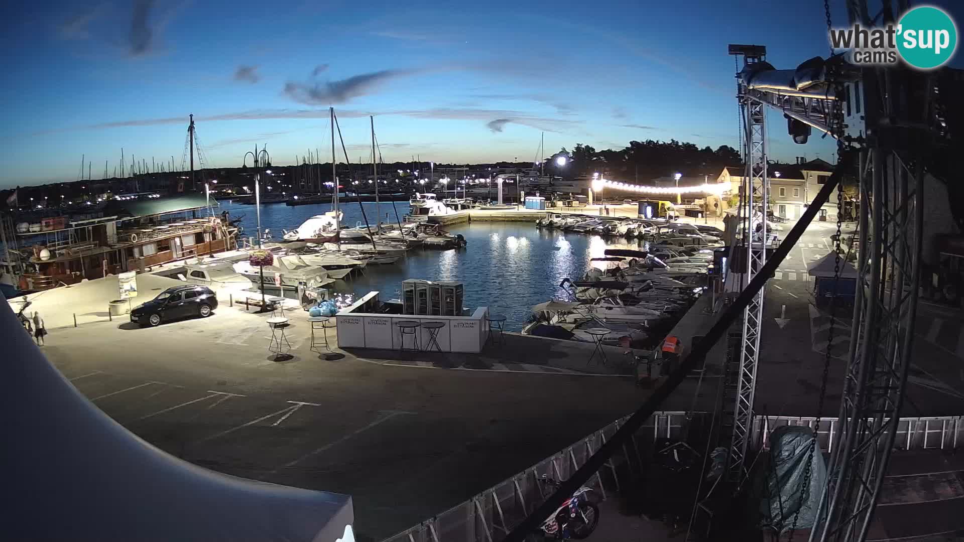 Novigrad | Porporela marina