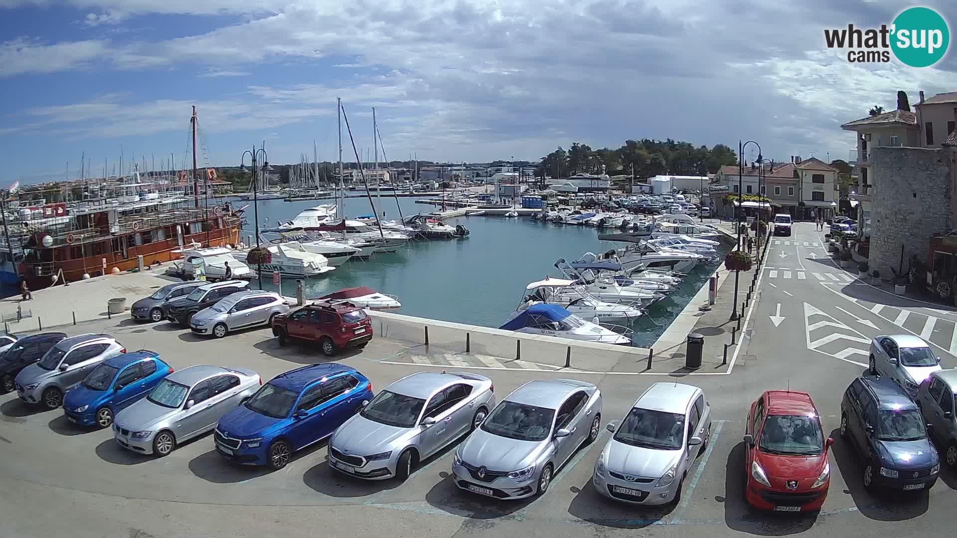 Novigrad | Porporela marina