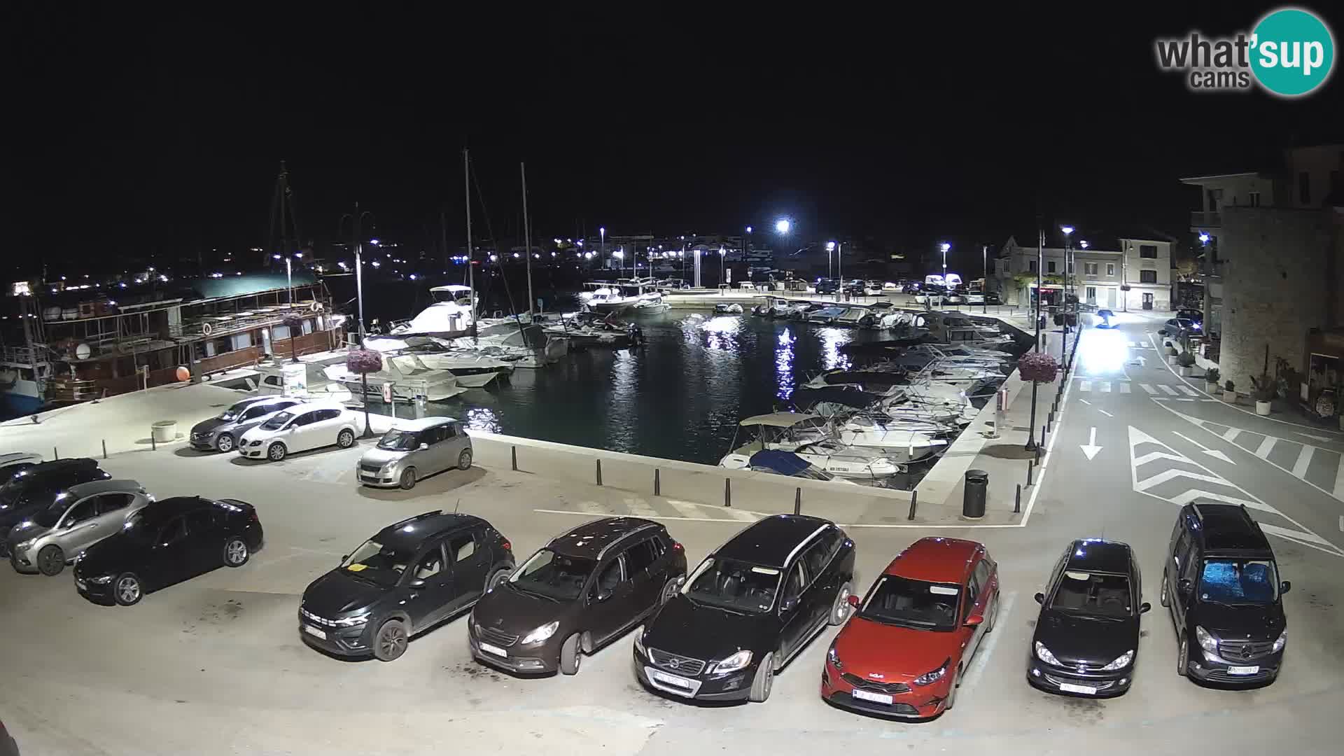 Novigrad | Porporela marina