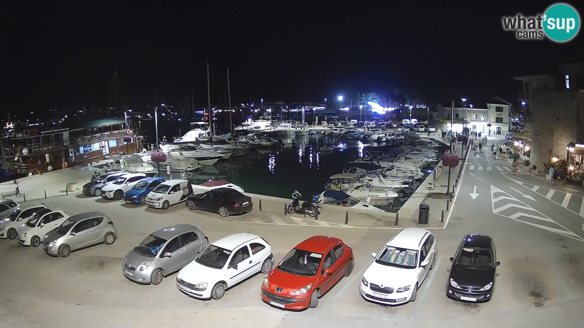Novigrad | Porporela marina