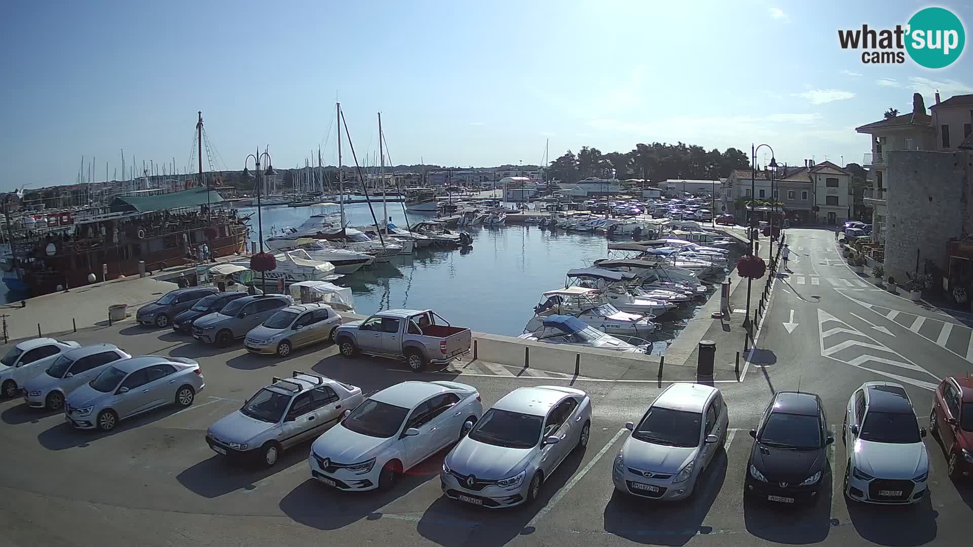Novigrad | Porporela marina