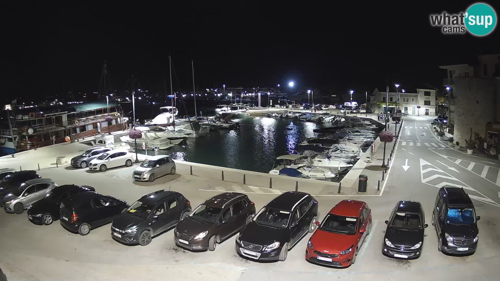 Novigrad | Porporela marina
