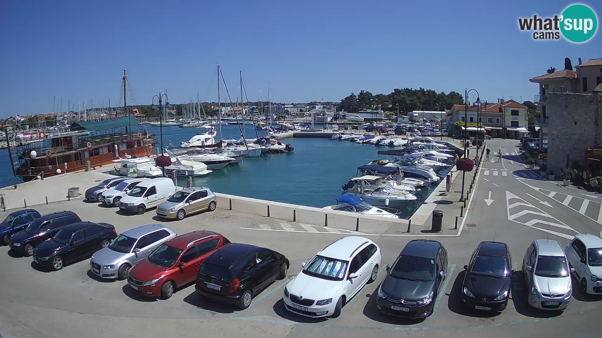 Novigrad | Porporela marina