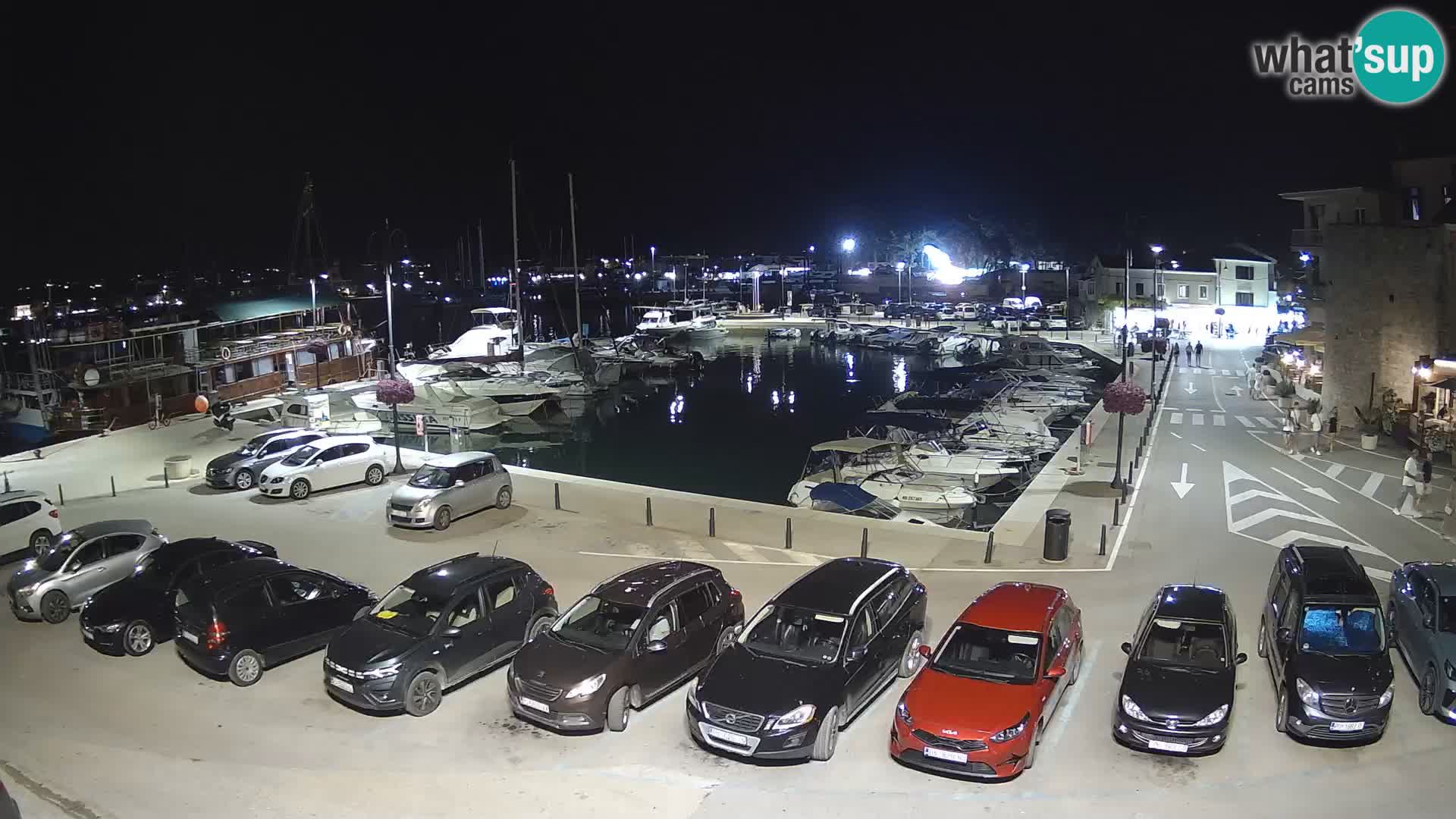 Novigrad | Porporela marina