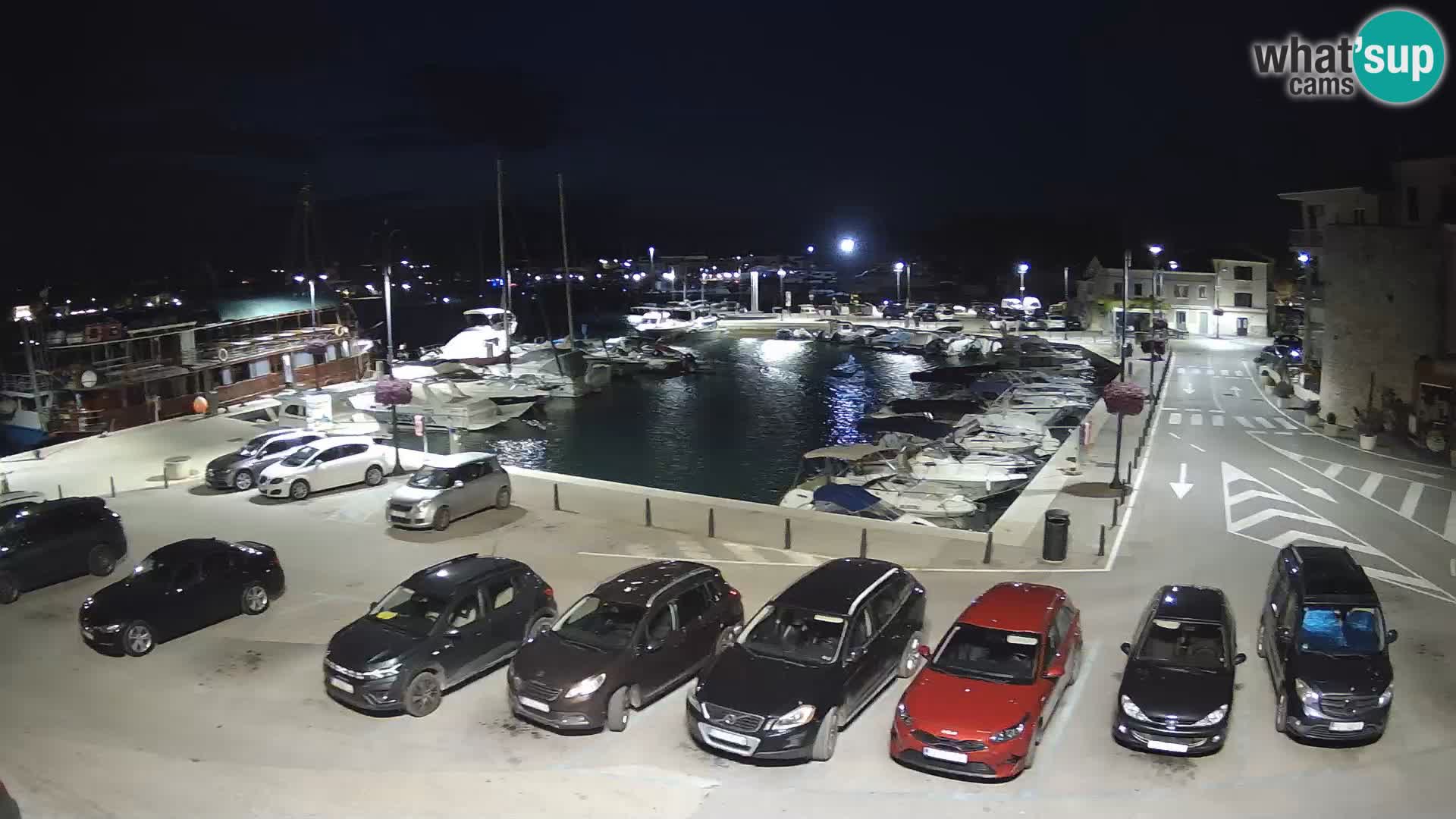 Novigrad | Porporela marina