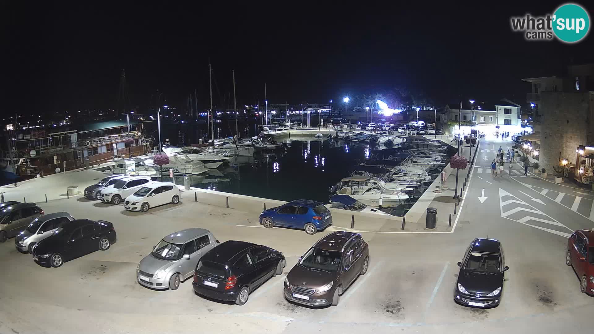 Novigrad | Porporela marina
