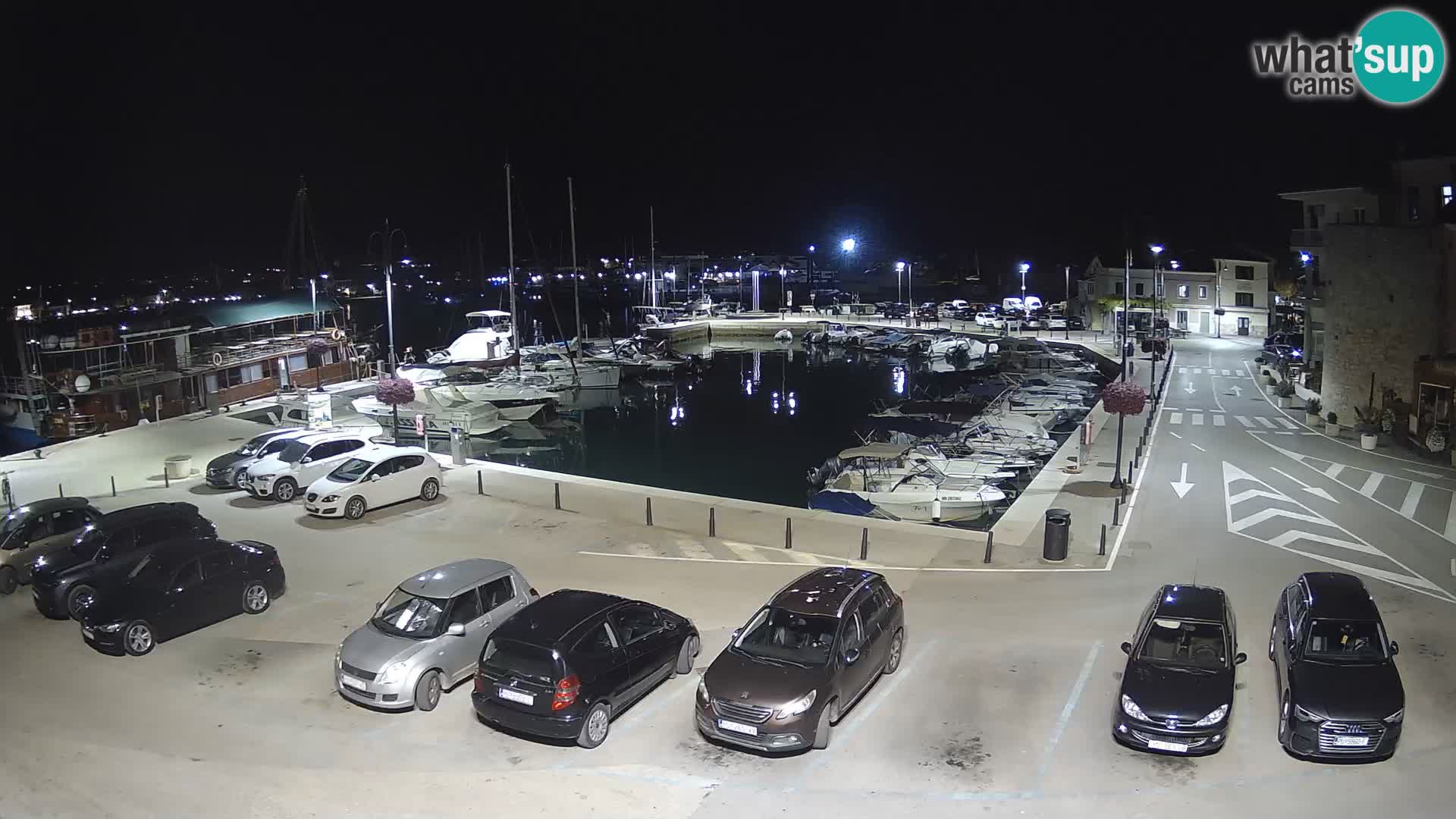 Novigrad | Porporela marina