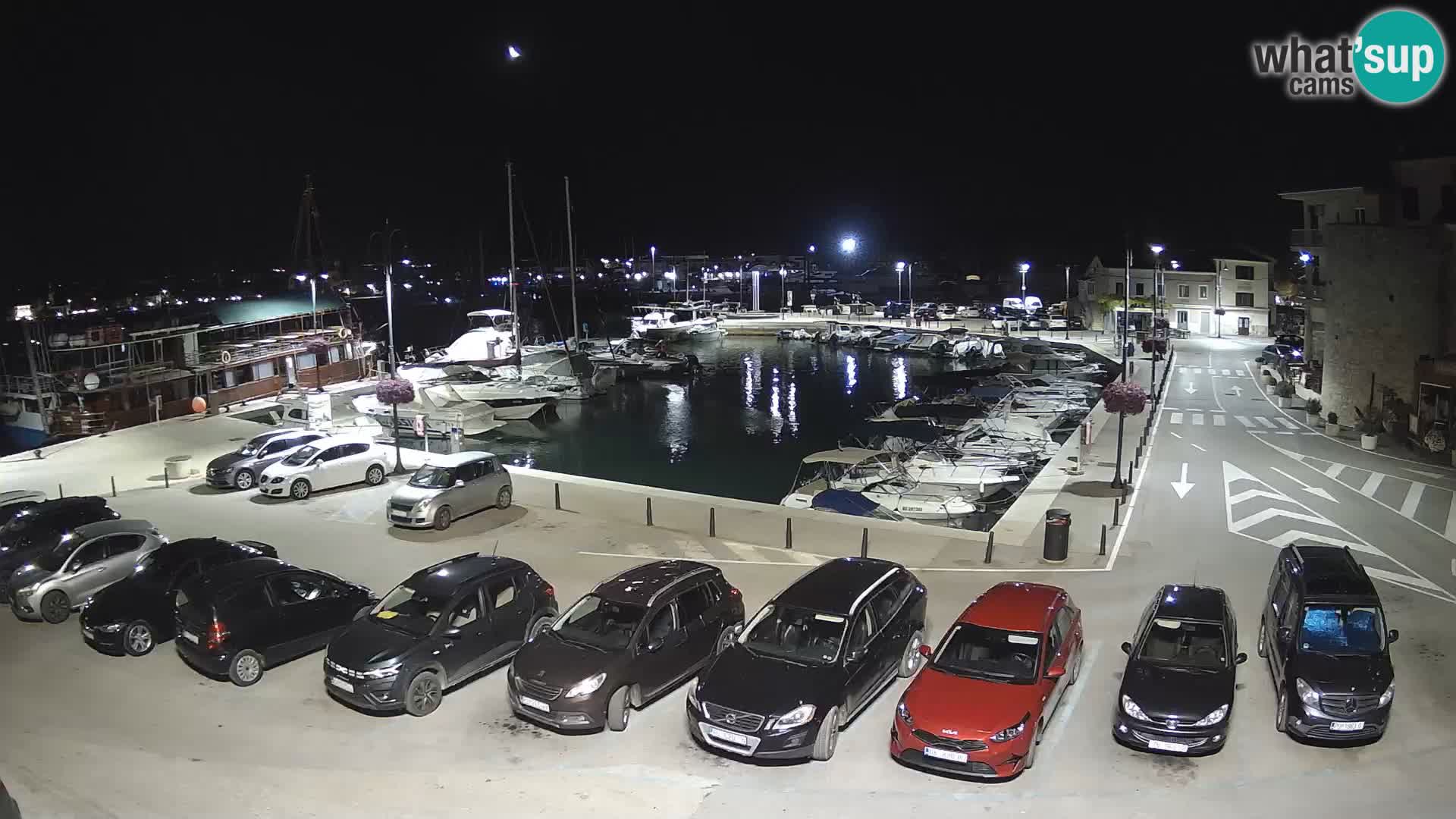 Novigrad | Porporela marina