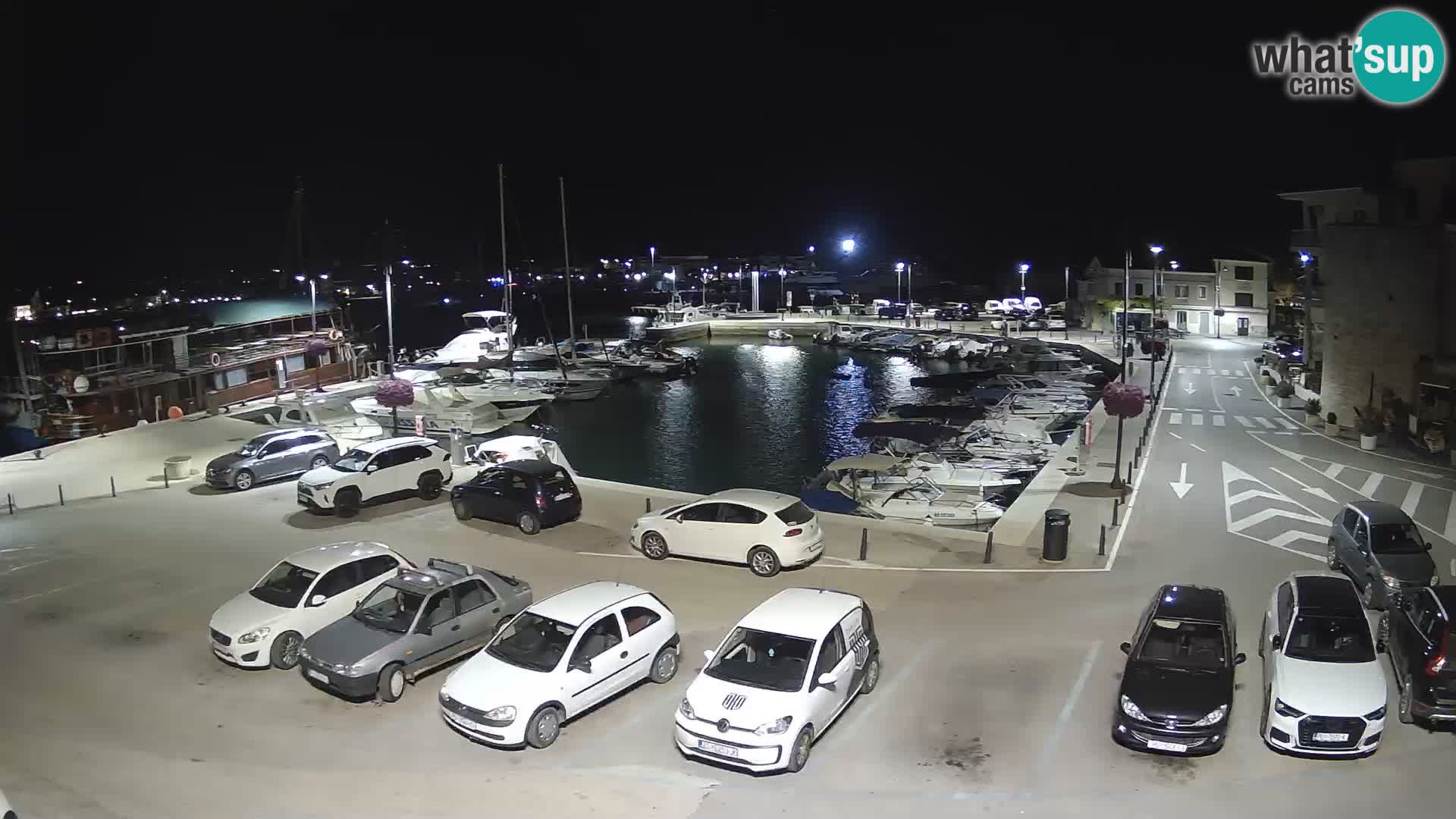 Novigrad | Porporela marina