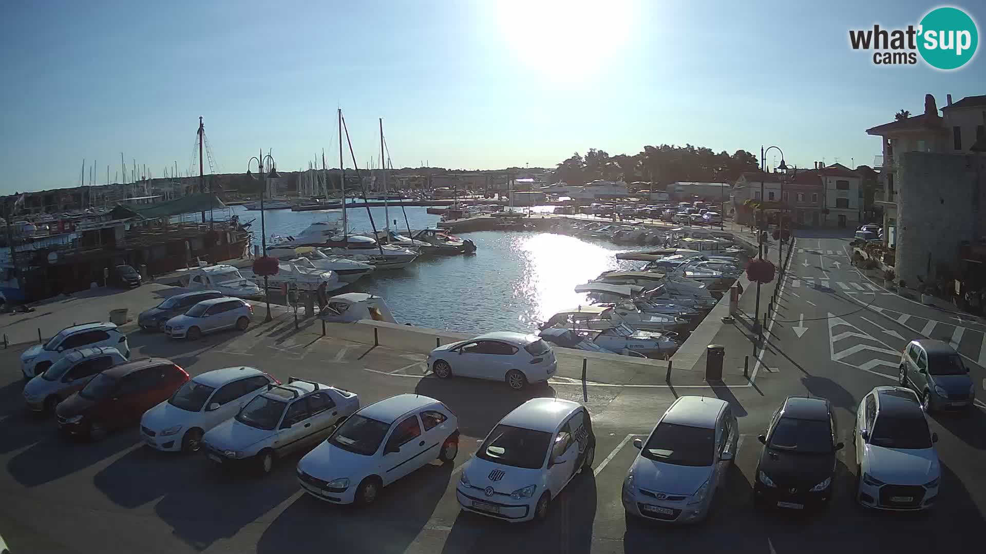 Novigrad | Porporela marina