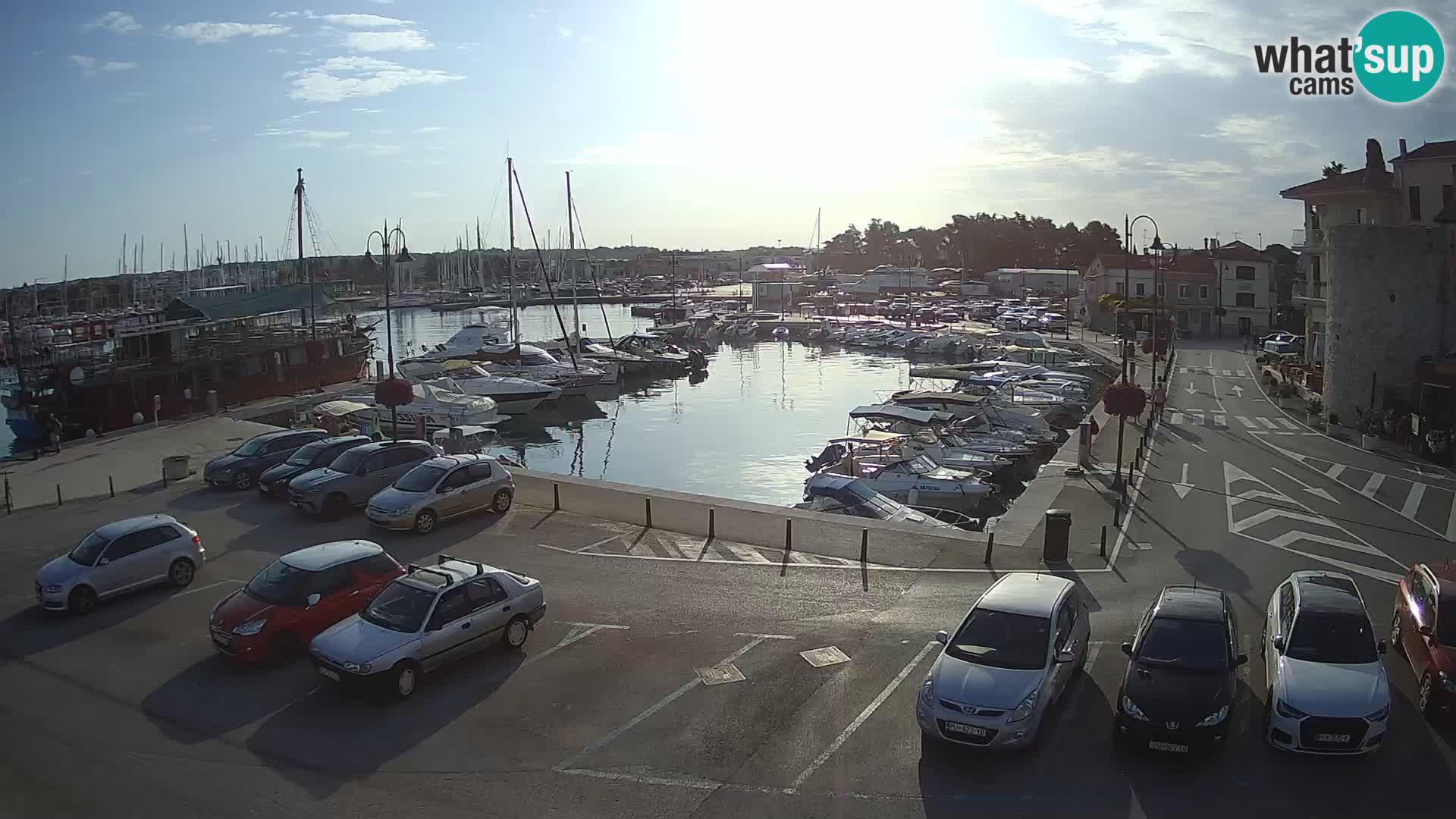 Novigrad | Porporela marina