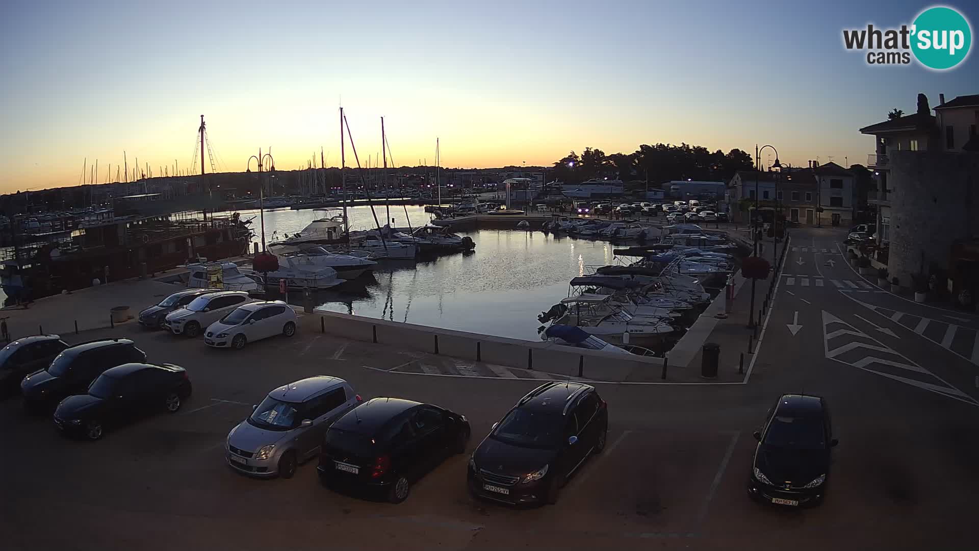 Novigrad | Porporela marina