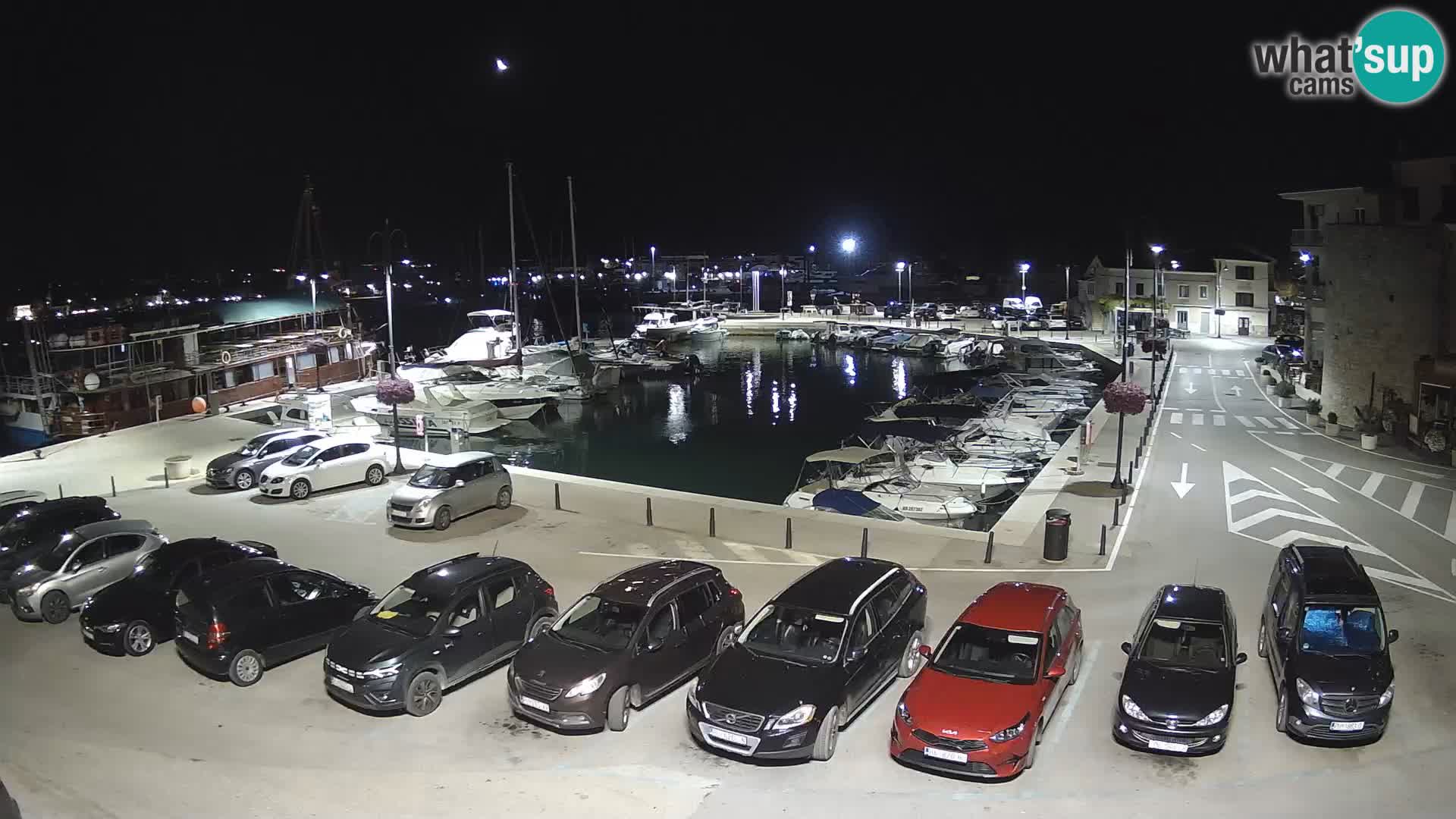 Novigrad | Porporela marina