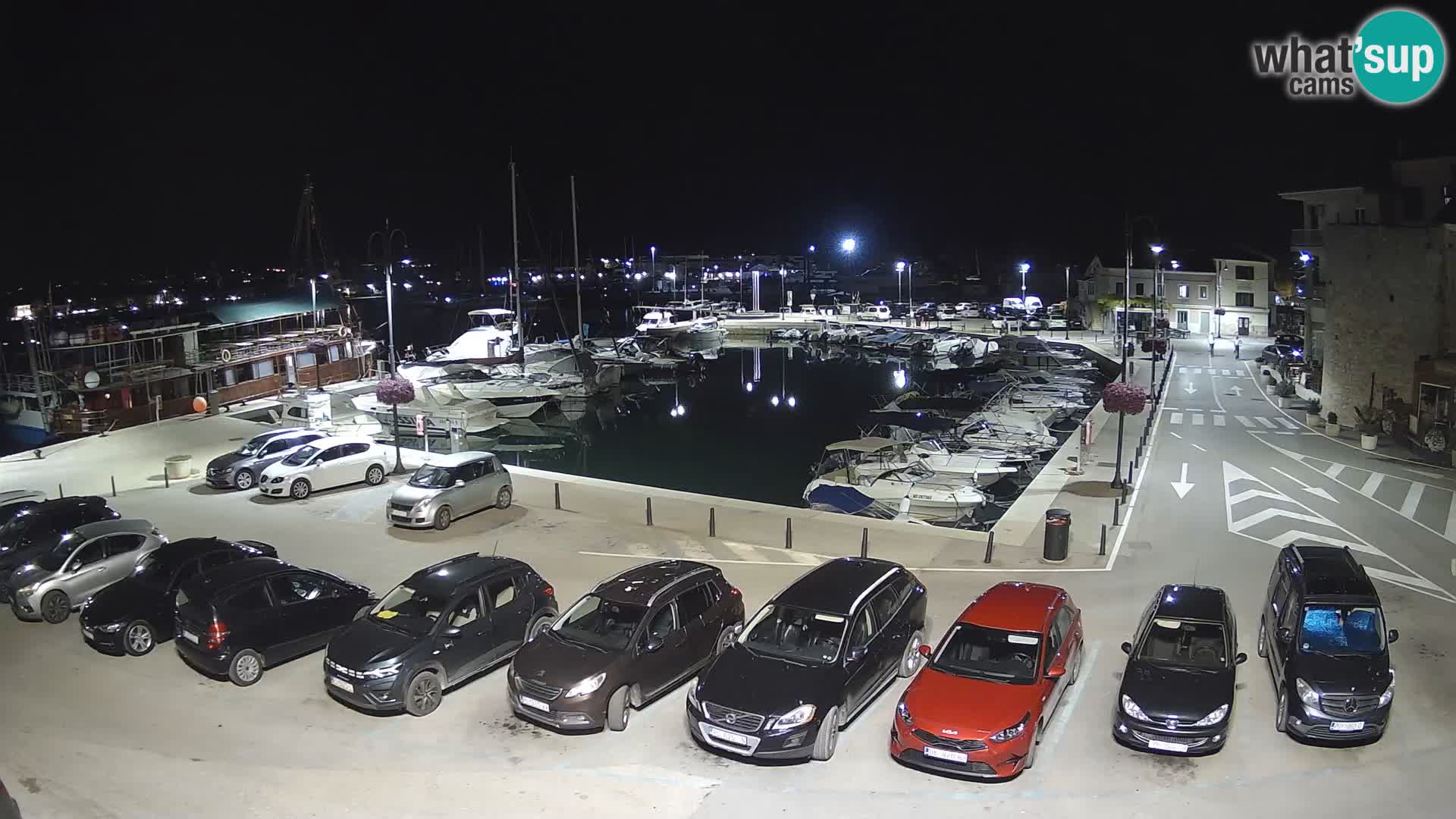 Novigrad | Porporela marina