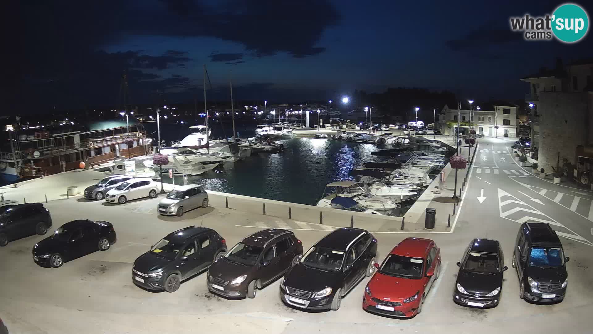 Novigrad | Porporela marina