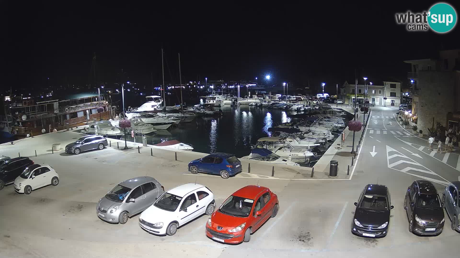 Novigrad | Porporela marina