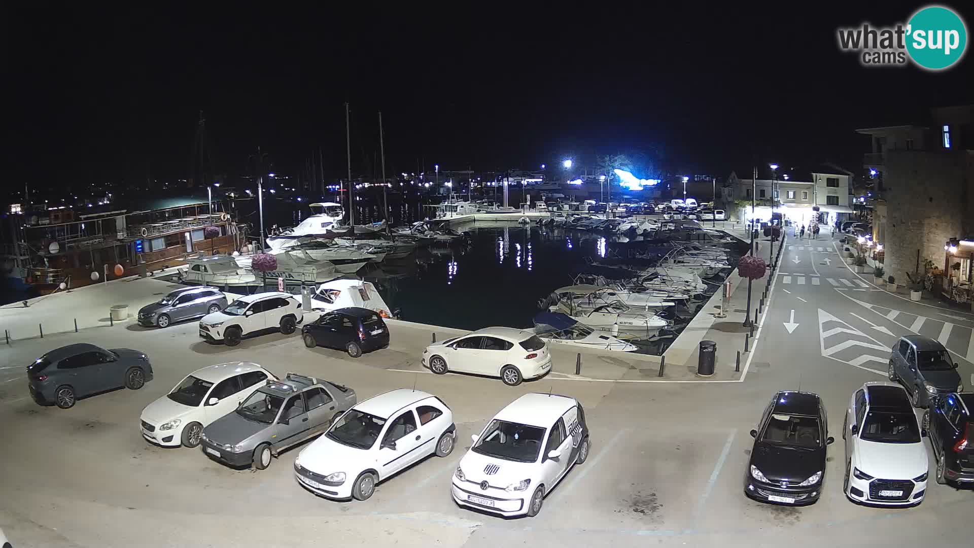 Novigrad | Porporela marina
