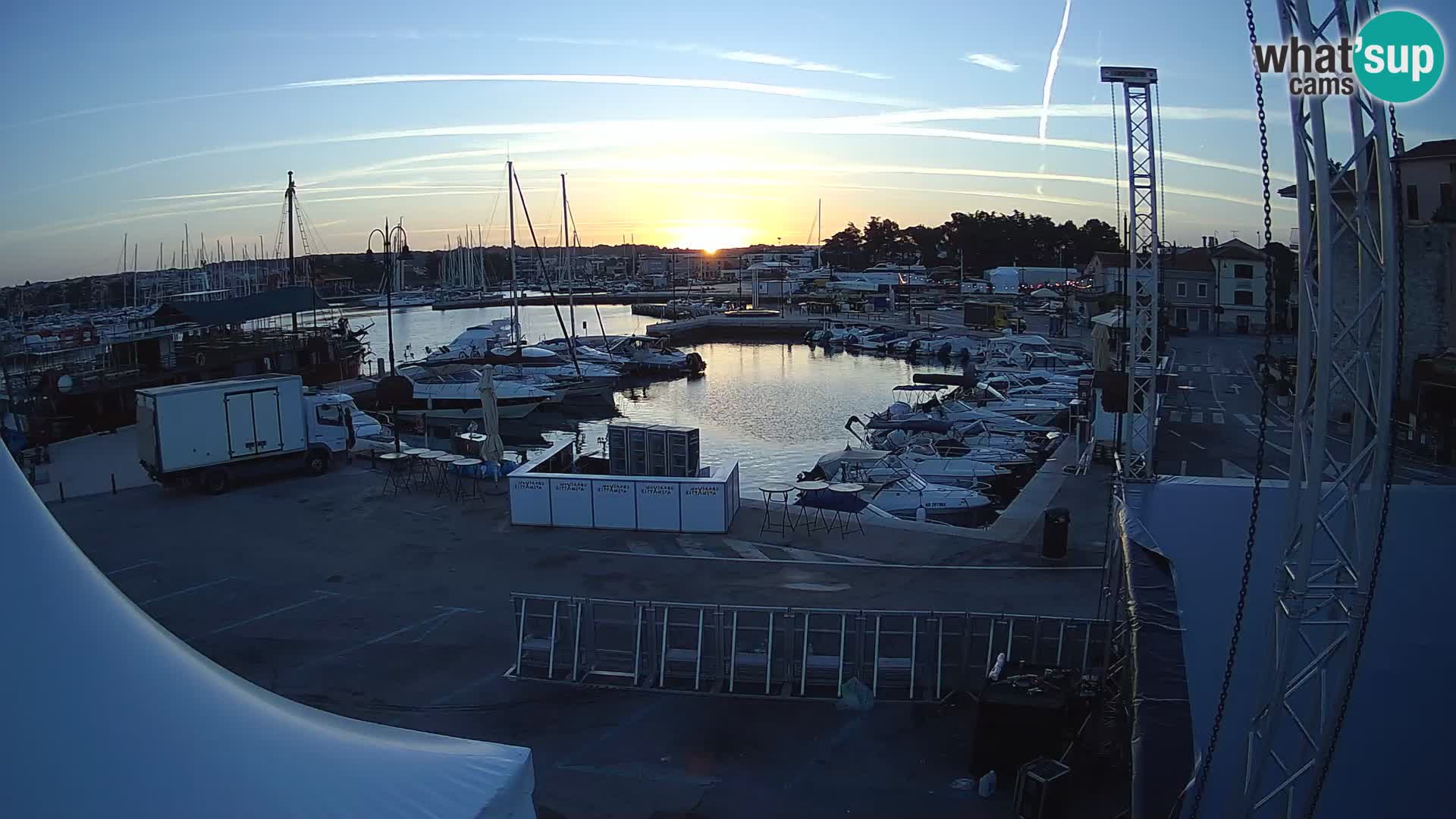 Novigrad | Porporela marina