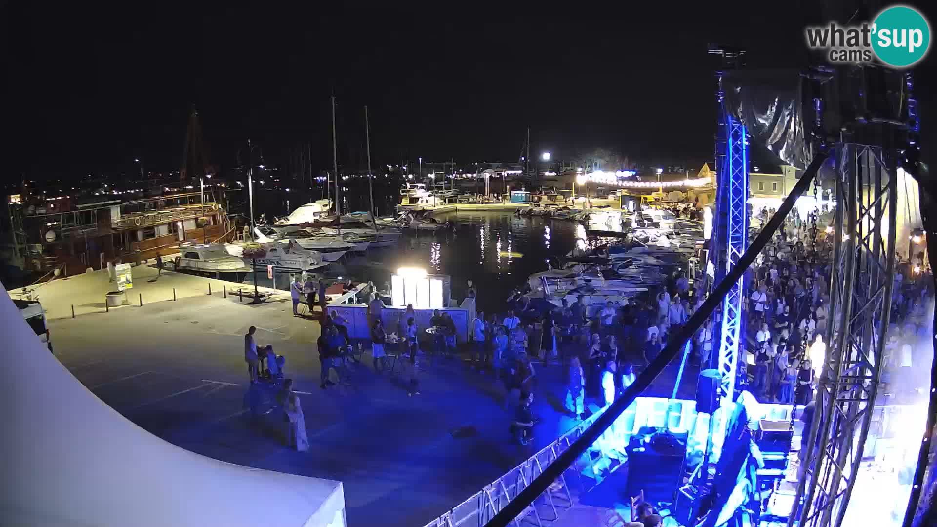 Novigrad | Porporela marina