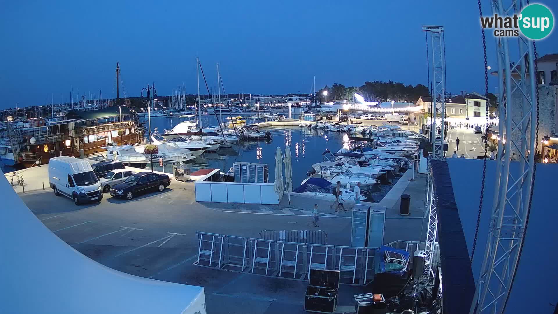 Novigrad | Porporela marina