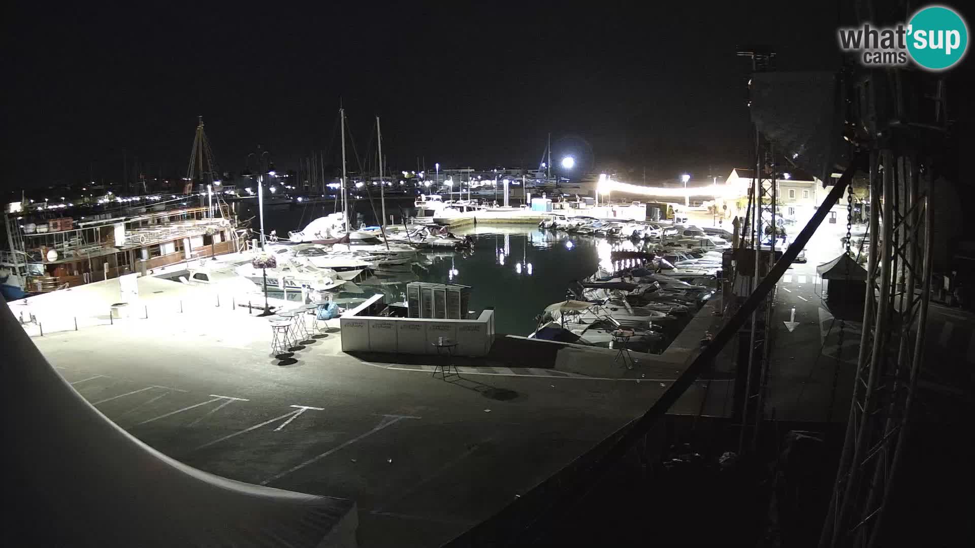 Novigrad | Porporela marina