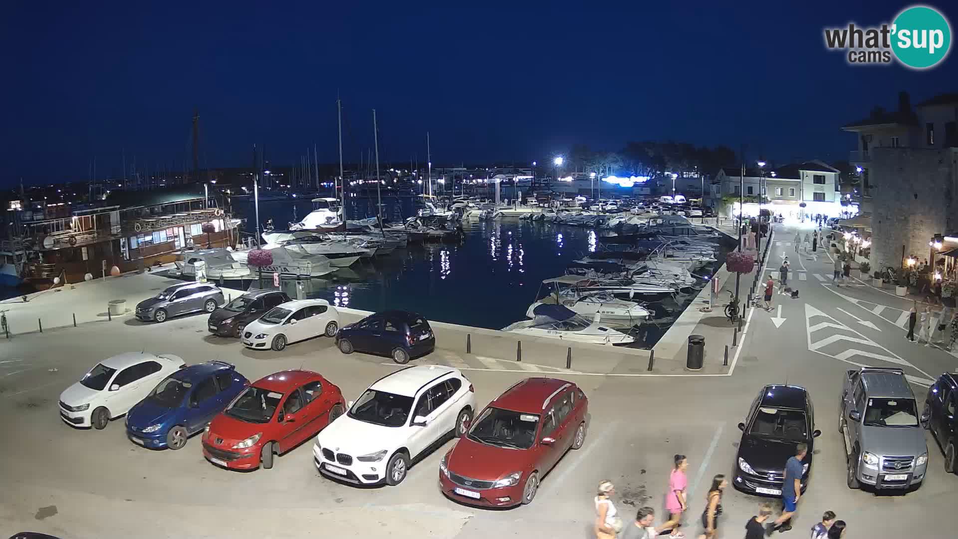 Novigrad | Porporela marina