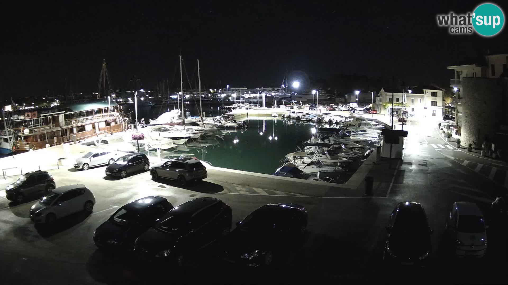 Novigrad | Porporela marina