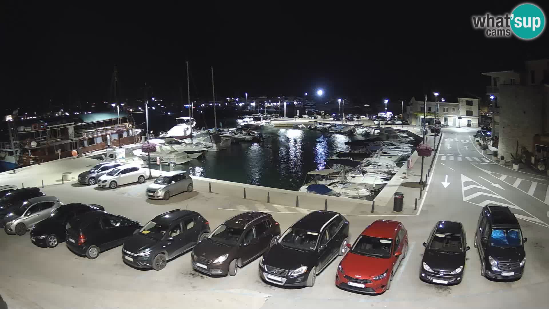 Novigrad | Porporela marina