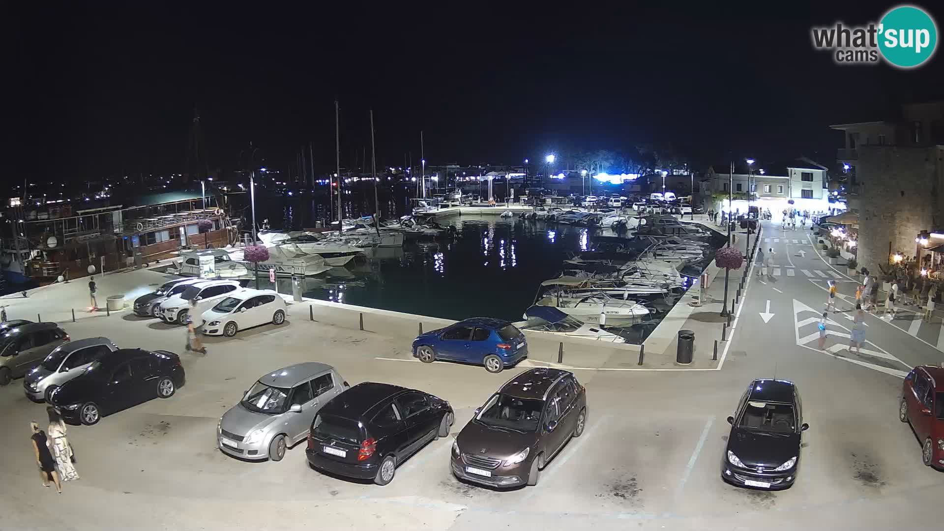 Novigrad | Porporela marina