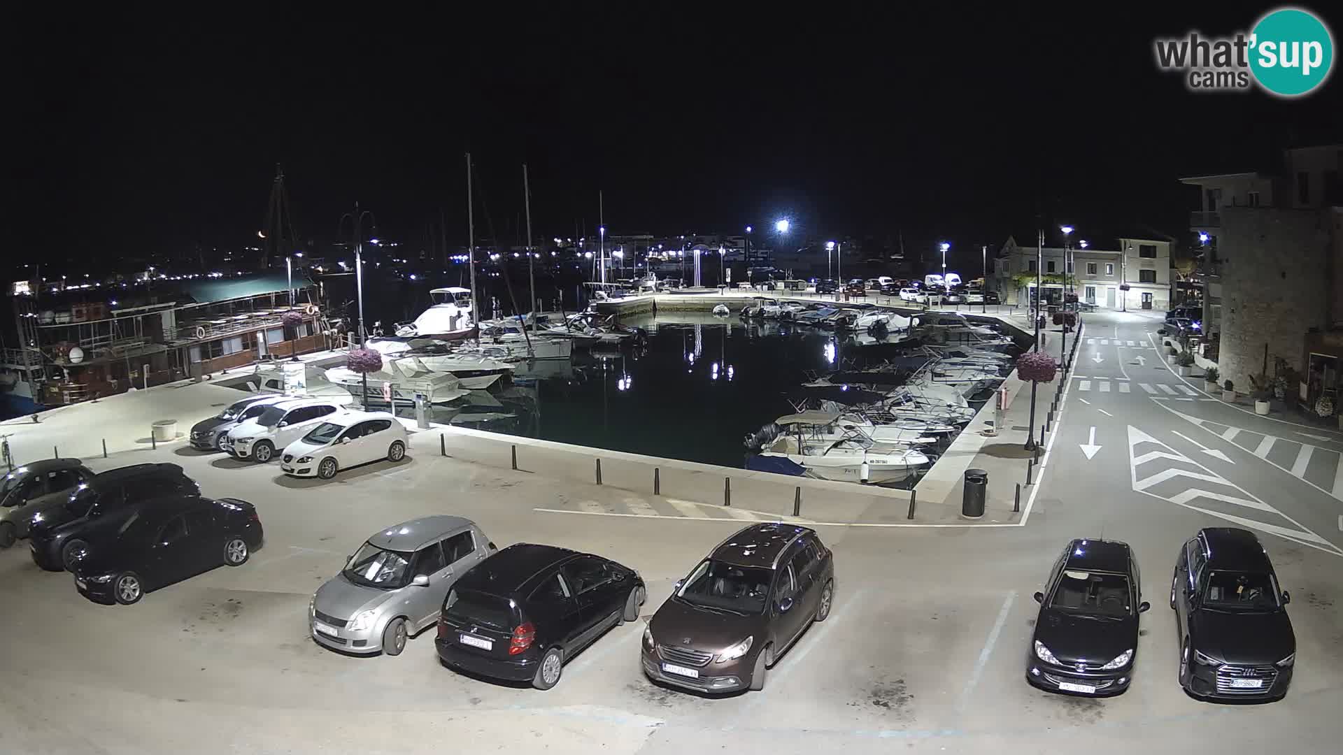 Novigrad | Porporela marina