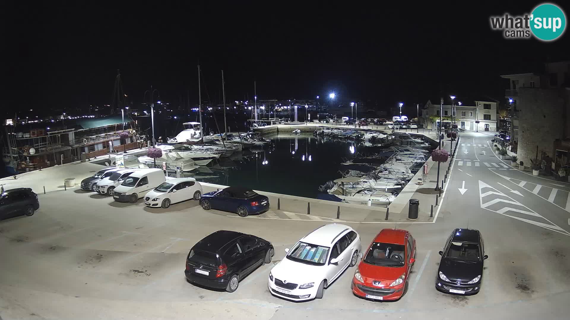 Novigrad | Porporela marina